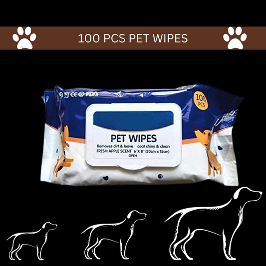 Pet Wipes 100pcs