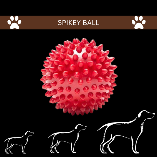Spikey Ball Dog Toy