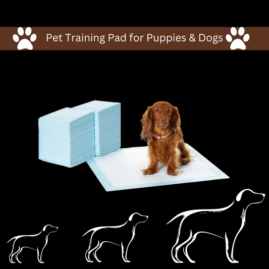 Pee and Training pad for dogs 10 pcs set