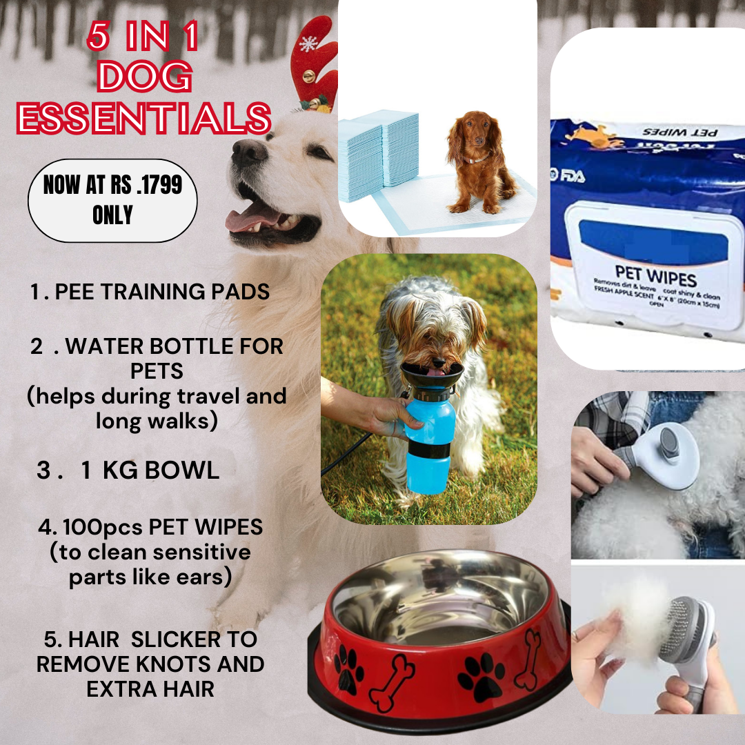 Dog Essentials